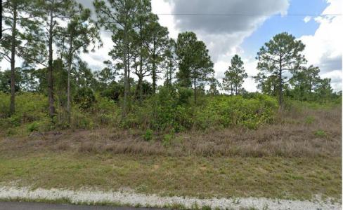 1003 Hines Avenue, Alva, Florida 33920, Stati Uniti