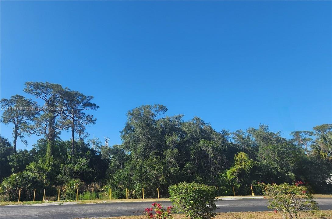 0 W Hickpochee, La Belle, Florida 33935, Amerika Birleşik Devletleri