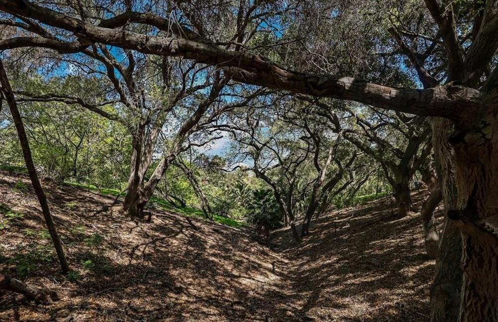 Carbon Canyon Road, Chino Hills, Californie 91709, États-Unis