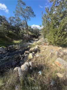 Bodfish Canyon, Bodfish, California 93205