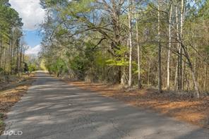 Lot 14 Mockingbird Lane, Plain Dealing, Louisiana 71064, Stati Uniti