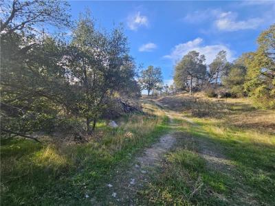 Lark, North Fork, Califórnia 93643, Estados Unidos