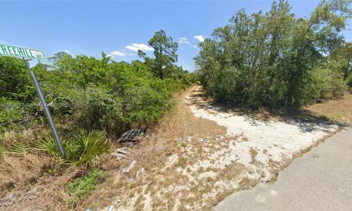 1027 FREEHILL AVE, Lake Placid, Florida 33071, USA