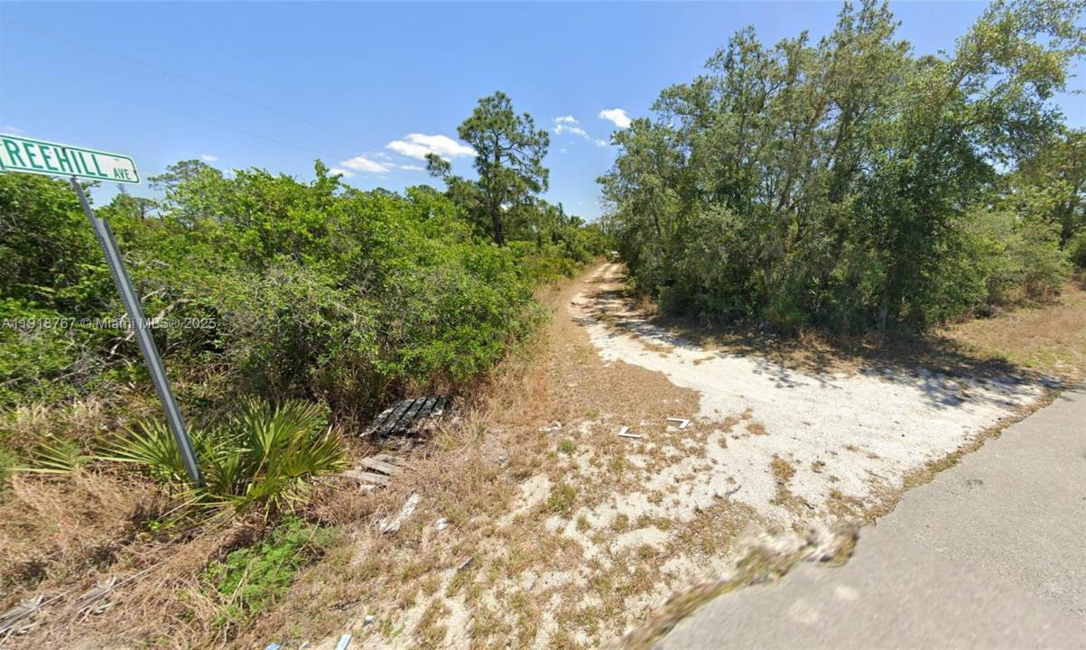 1027 FREEHILL AVE, Lake Placid, Florida 33071