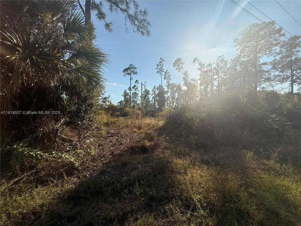 1084-1086 Ainsworth St, Lehigh Acres, Florida 33974, Estados Unidos