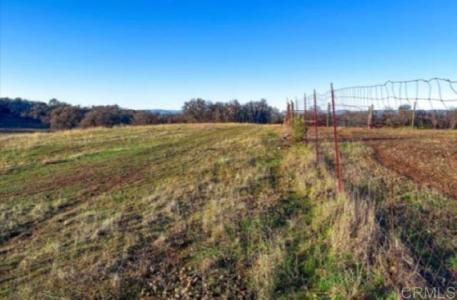 Wight Way, Kelseyville, カリフォルニア 95451, アメリカ合衆国