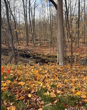 1 Airmont Road S, Ramapo, Nueva York 10901, Estados Unidos