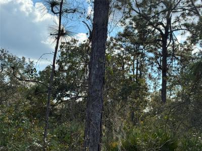 207 Plumosa Drive, Indian Lake Estates, Indian Lake Estates, Florida 33855, Stati Uniti