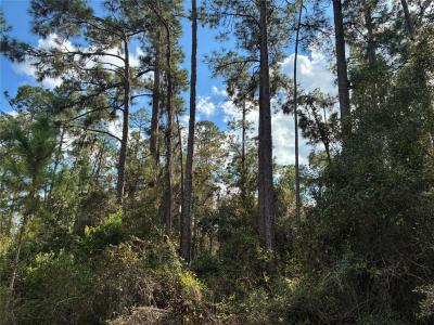 Lot 15 Park Avenue, Indian Lake Estates, Florida 33855, Stati Uniti