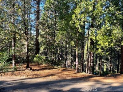 Ponderosa Drive, Twain Harte, California 95383