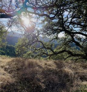 Via Vespero, San Jose, California 95120