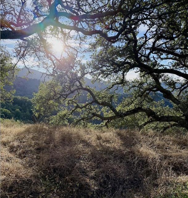 Via Vespero, San Jose, California 95120