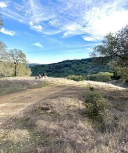 Via Vespero, San Jose, California 95120