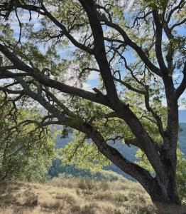 Via Vespero, San Jose, California 95120