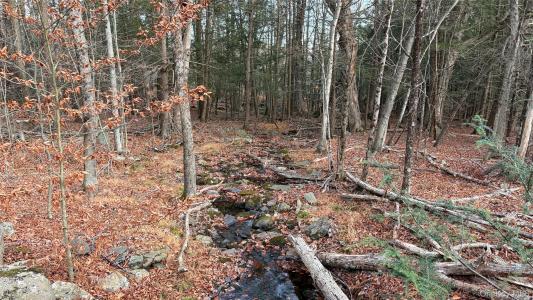X Aldrich Road, Mamakating, Nueva York 12790, Estados Unidos