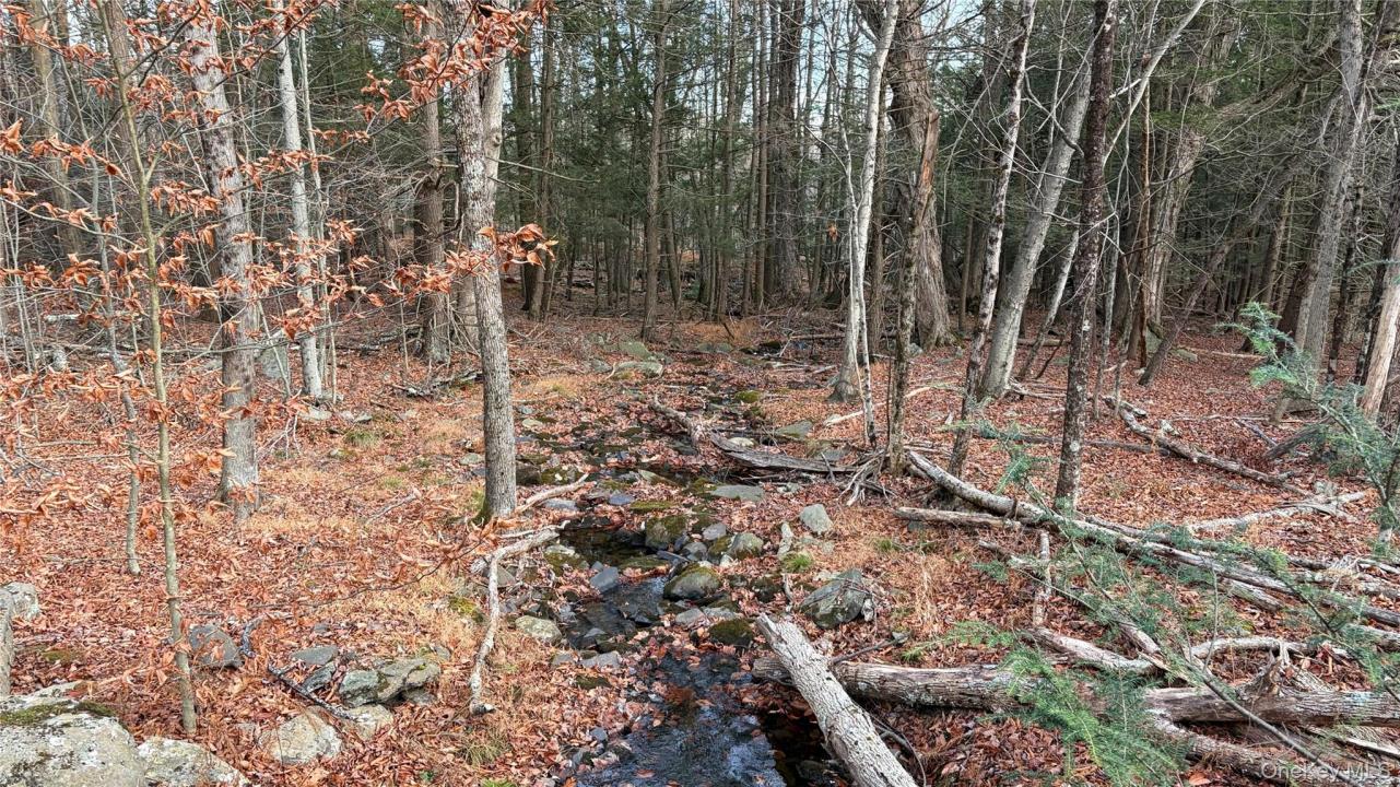 X Aldrich Road, Mamakating, Nueva York 12790, Estados Unidos