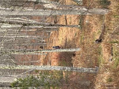 X Aldrich Road, Mamakating, Nueva York 12790, Estados Unidos