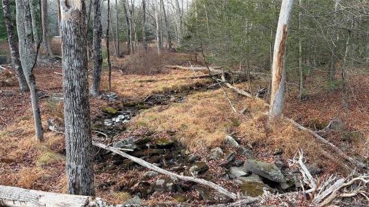 X Aldrich Road, Mamakating, Nueva York 12790, Estados Unidos