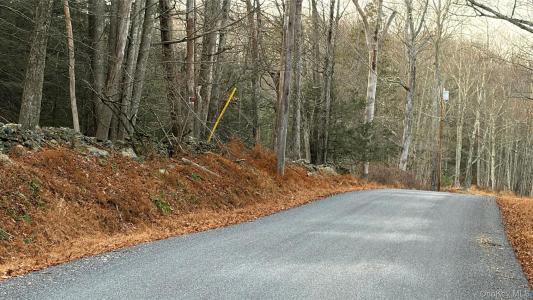 X Aldrich Road, Mamakating, Nueva York 12790, Estados Unidos