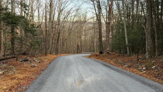 X Aldrich Road, Mamakating, Nueva York 12790, Estados Unidos