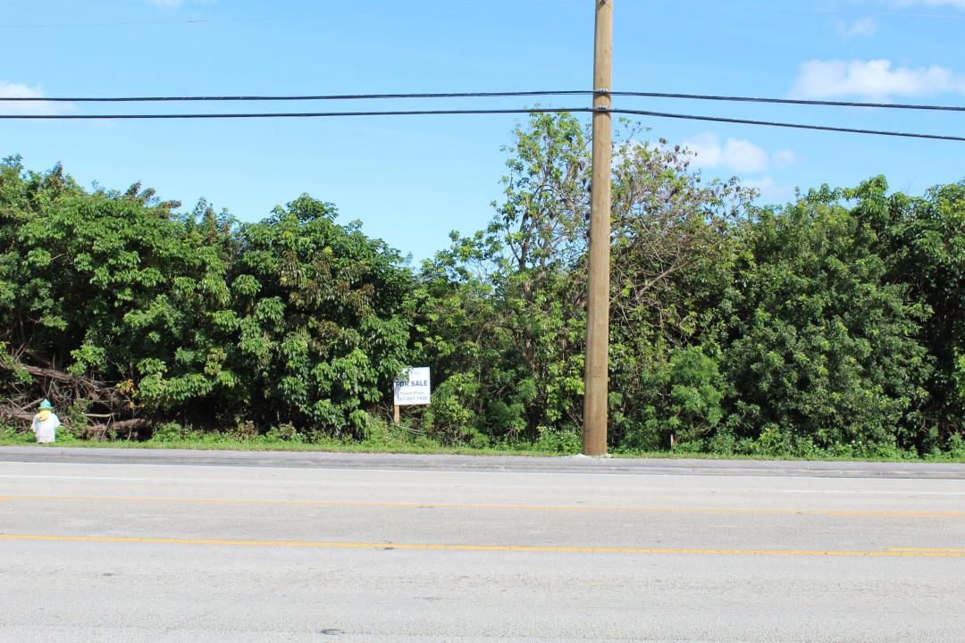 Davie Road Road, Davie, Florida 33314