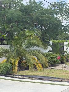 25800 SW 214th Ave, Homestead, Florida 33031