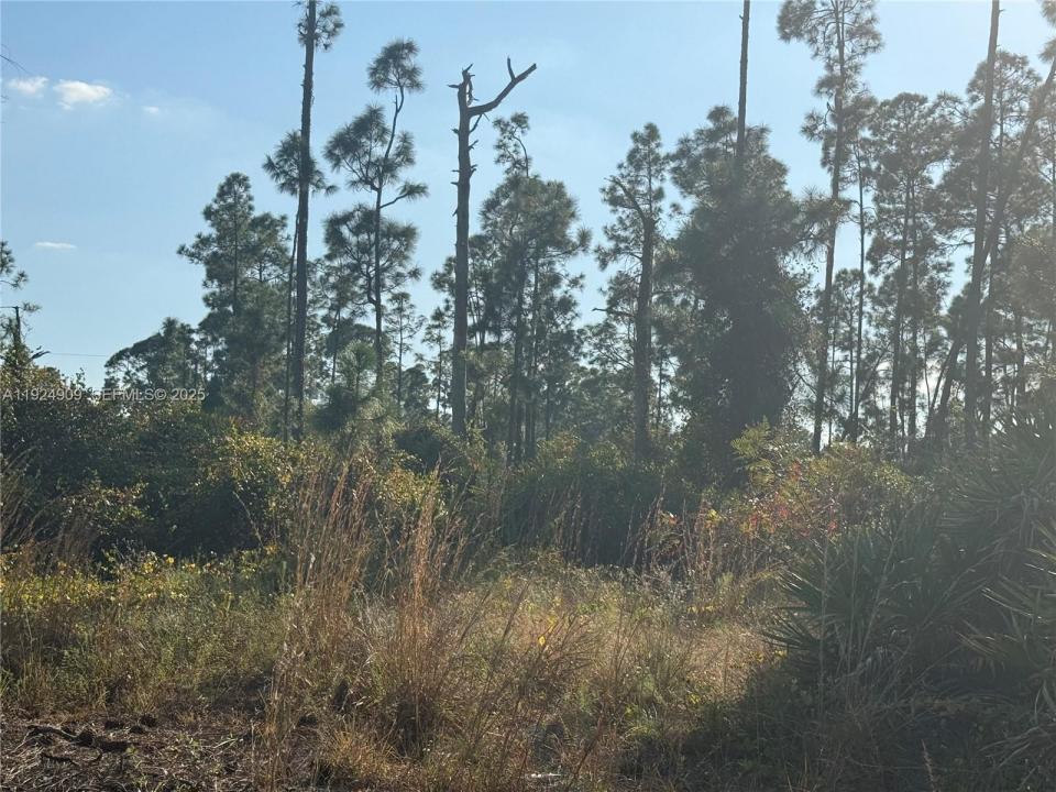 1088/1090 Ainsworth ST E, Lehigh Acres, Florida 33974, Estados Unidos