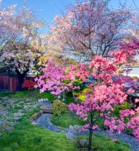 Huron Avenue, San Mateo, Kalifornien 94401, USA