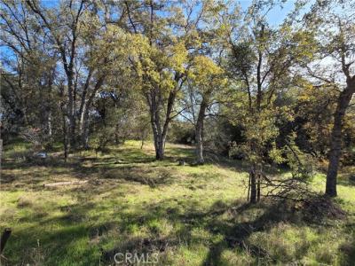 12.19 AC Road 222, North Fork, Califórnia 93643, Estados Unidos