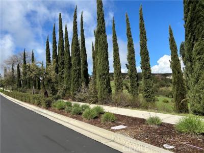 Vellano Club Dr, Chino Hills, Калифорния 91709, Соединенные Штаты