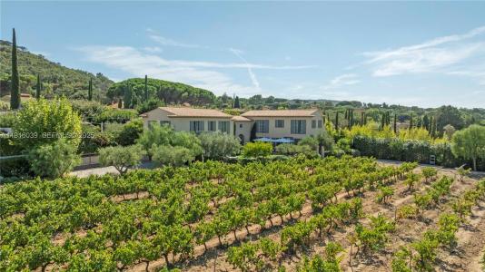 La belle Isnarde Euclia, Florida