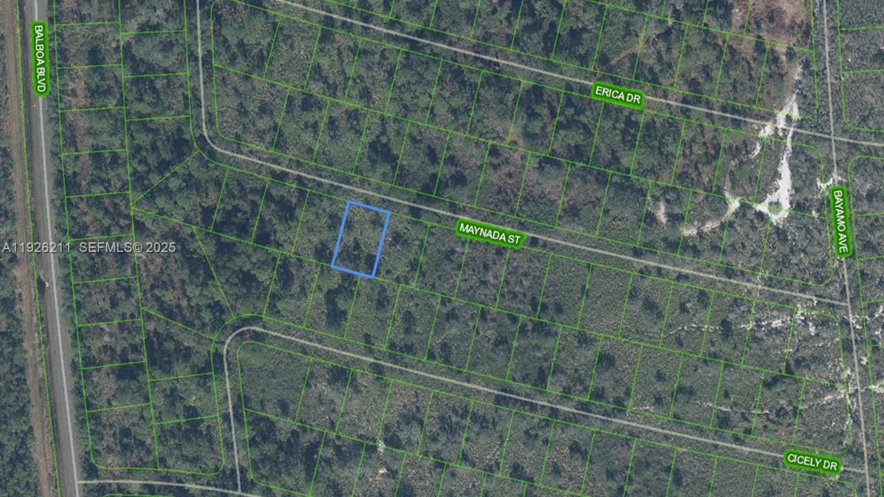 8725 MAYNADA ST, Sebring, Floride 33872, États-Unis