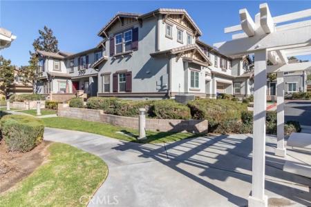 Blue Lupine, Grand Terrace, California 92313