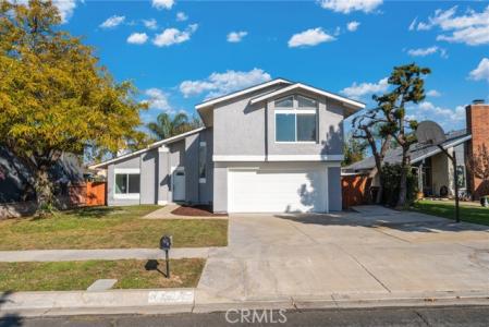 Tanager, Grand Terrace, California 92313