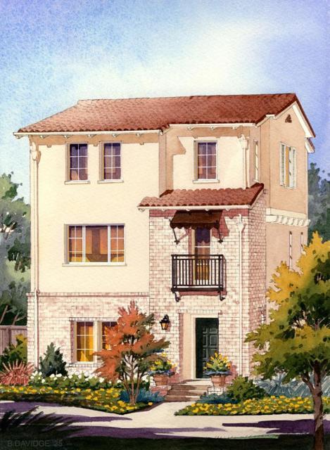 Amaranto Street, Newark, California 94560, HOA KỲ