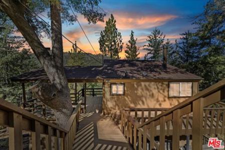 Spruce Avenue, Angelus Oaks, Califórnia 92305, Estados Unidos