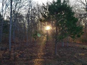 20039 C County Road 450, Lindale, 得克萨斯州 75771, 美国