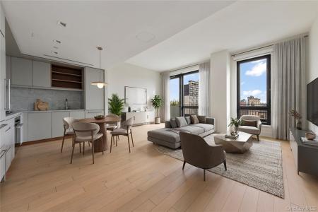 550 Vanderbilt Avenue Avenue, نيويورك, نيويورك 11238, الولايات المتحدة