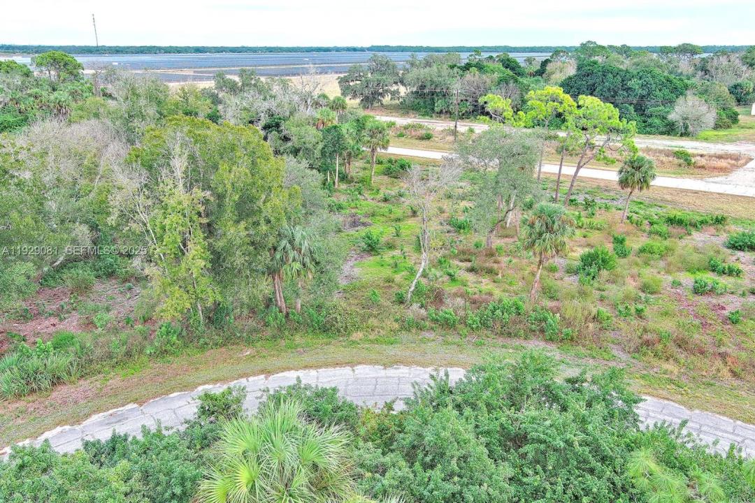 171 CAROUSEL AVE, La Belle, Florida 33935, Stati Uniti