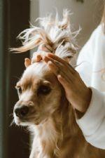 NE 38th St, Oakland Park, 佛罗里达州 33334, 美国