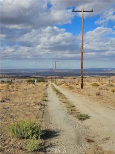 Vic Cima Mesa 104 Street, Juniper Hills, 加州 93543, 美國