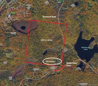 174 Dingle Daisy Road, Thompson, ניו יורק 12701, ארצות הברית של אמריקה