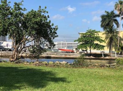 157 NW 14th Way, Dania Beach, Florida 33004, USA