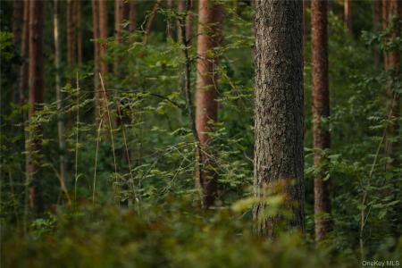 Melzingah Rsvr Road, Fishkill, 紐約州 12508, 美國