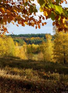 10 Hideaway Place, Fishkill, 紐約州 12508, 美國