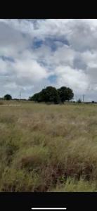 2700 powerline road, Avon Park, Флорида 33825, Соединенные Штаты