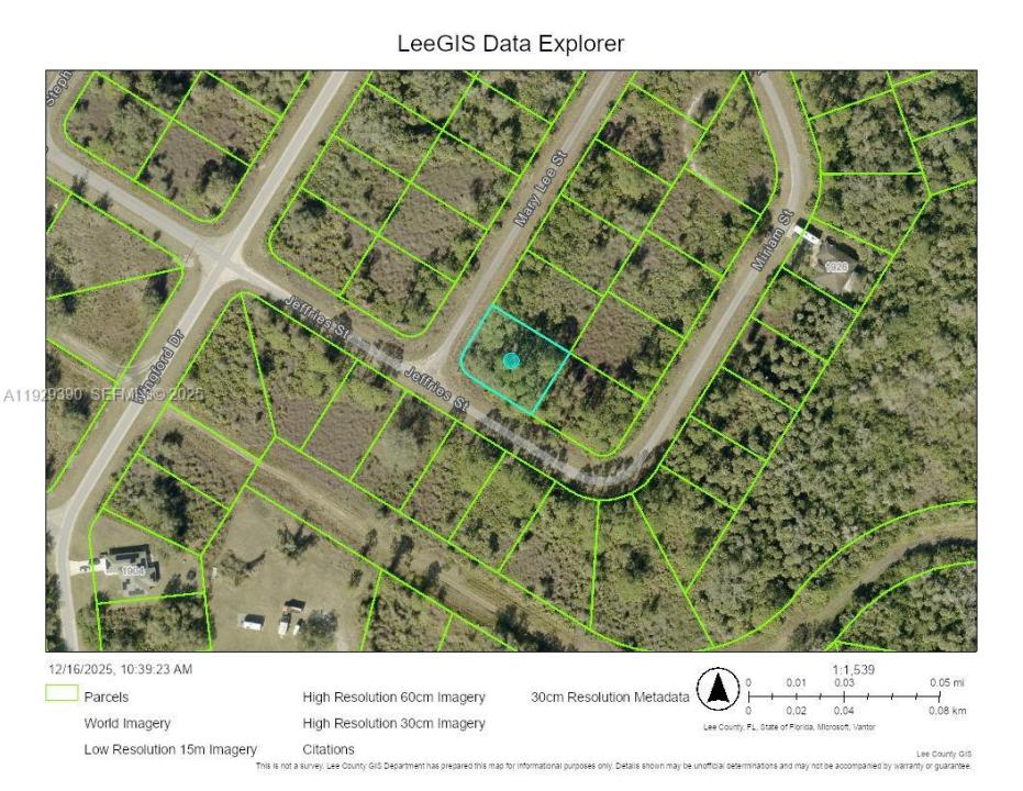 1916 MARY LEE ST, Lehigh Acres, Florida 33972, Stati Uniti