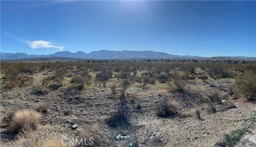 Vac/Pearblossom Hwy/Vic 135 Ste, Pearblossom, 加州 93553, 美國