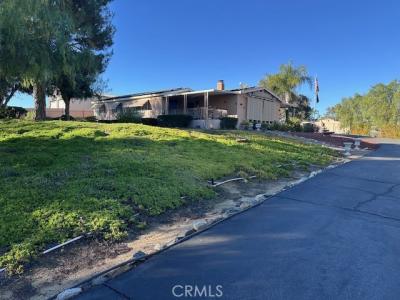 Shrimp, Winchester, Califórnia 92596, Estados Unidos