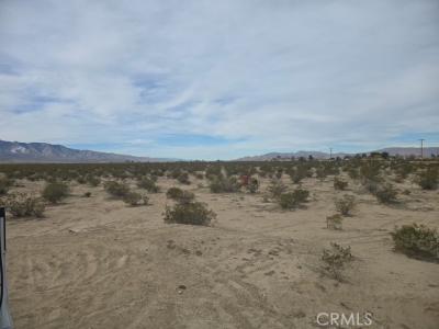 Old Woman Springs, Lucerne Valley, 加利福尼亚州 92356, 美国